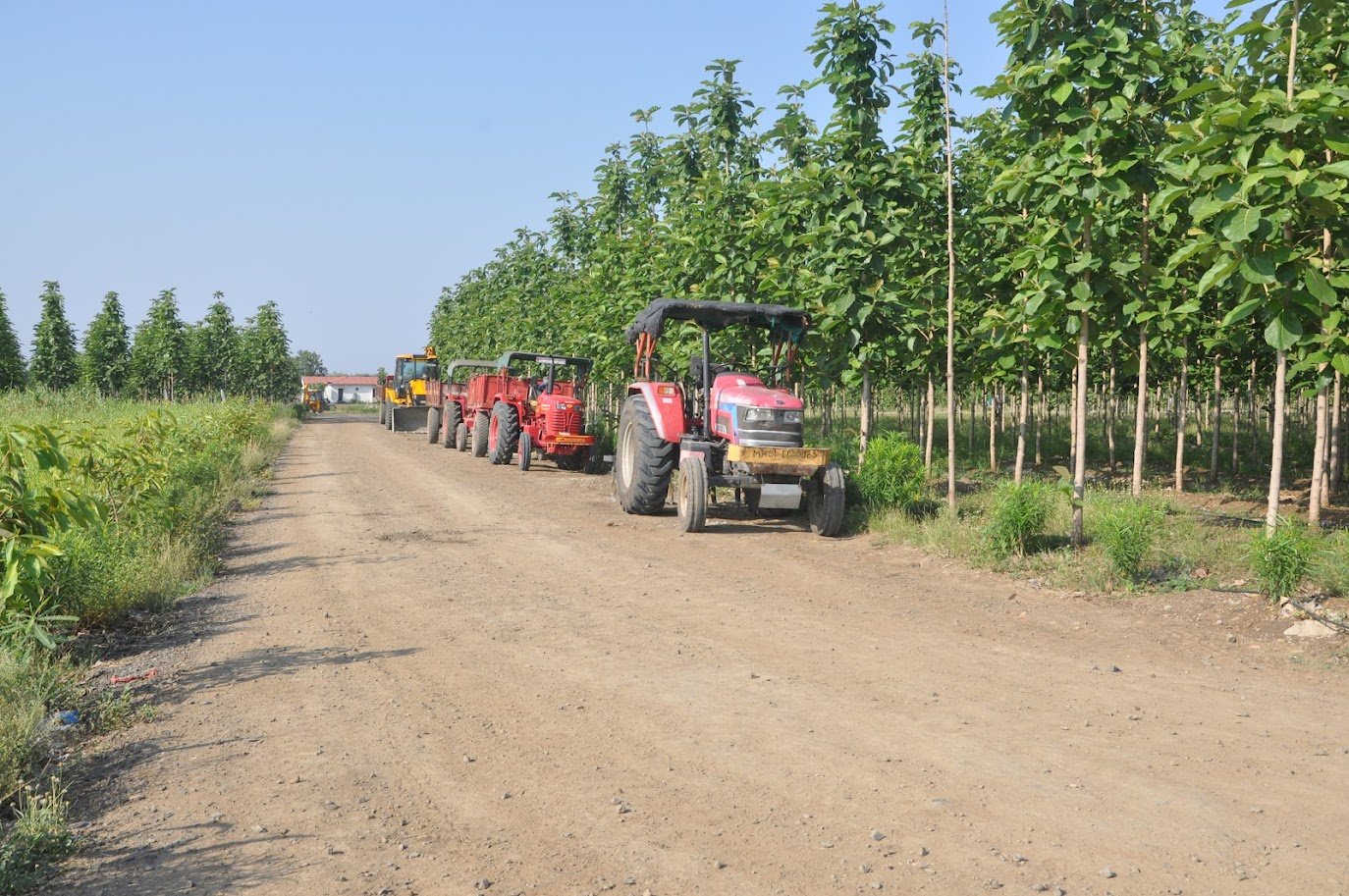 Why Farmhouse Investments Are Becoming Popular in India